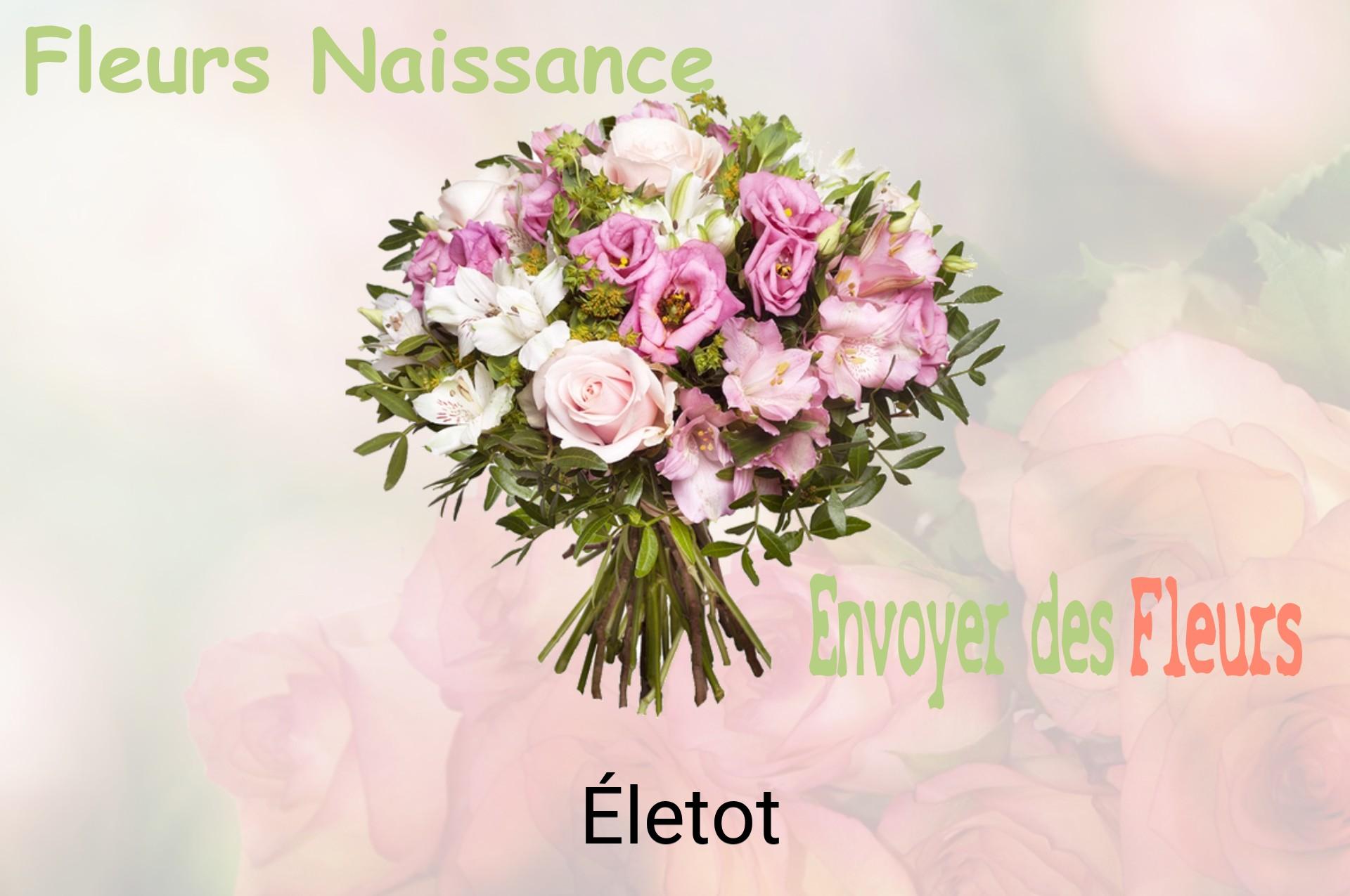 Bouquet de fleurs de naissance livré à Életot
